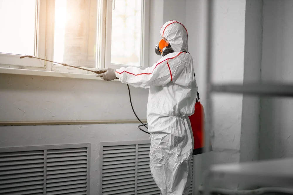 Professional mold remediation services in Hiram, OH